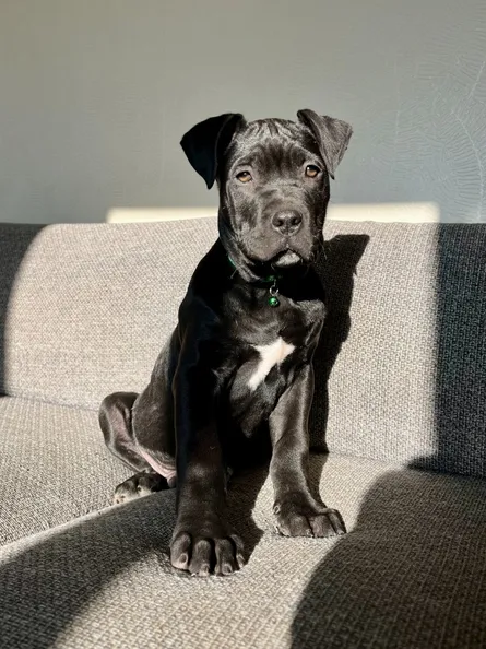 L'éducation positive : clé d'une relation harmonieuse